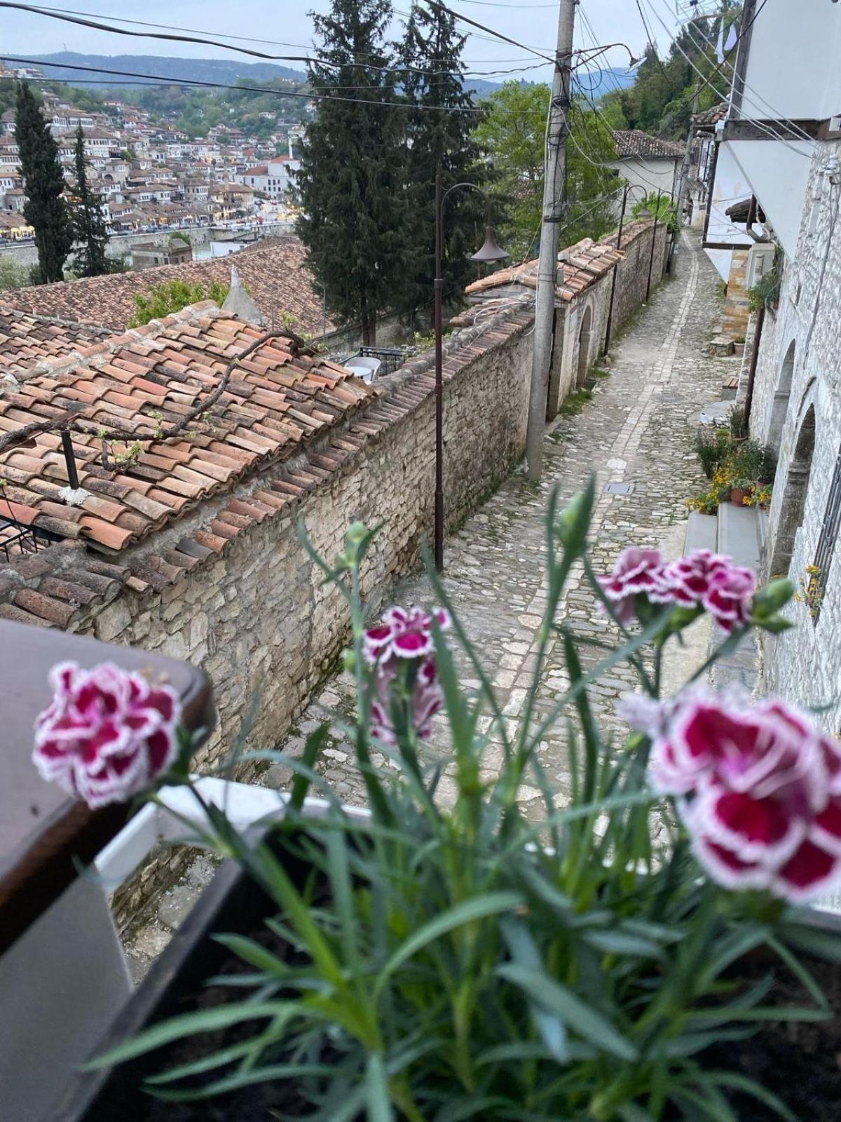 Oda E Skulptorit-Unesco Quarter Berat Eksteriør billede